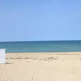 琴ヶ浜