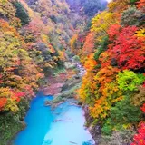 高瀬渓谷