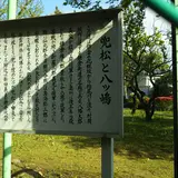 兜松