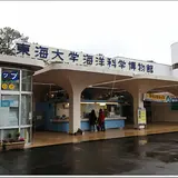 東海大学海洋科学博物館