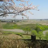 埼玉古墳群 さきたま風土記の丘