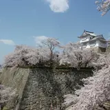 津山城 鶴山公園