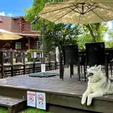 ペットと泊まれる宿 ペンション バーニーズ