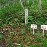 上大石神ピラミッド