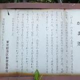 がま池