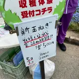 イングランドの丘