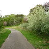 水沢の森（菅生緑地西地区）