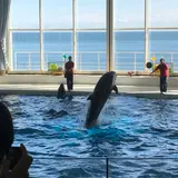アクアワールド茨城県大洗水族館