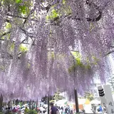 竹鼻別院