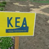 Koisago Enviromental Art 2015（KEA）