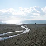 大磯町役場