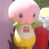生野区
