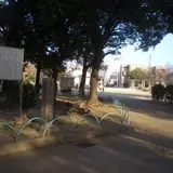 新森中央公園