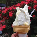 ジェラートショップ 花彩