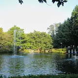 妙正寺公園