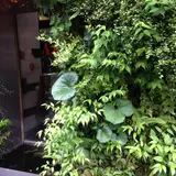 萌