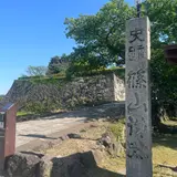 篠山城跡