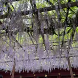 笠間稲荷神社駐車場
