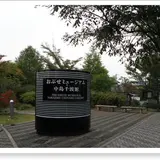 おぶせミュージアム中島千波館