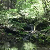 御岳岩石園ロックガーデン