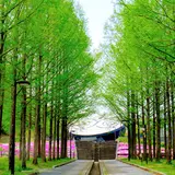 日本へそ公園