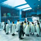 長崎ペンギン水族館