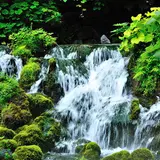 湧水の里