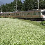 小和田駅・ＪＲ／飯田線