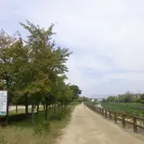 天野川緑地
