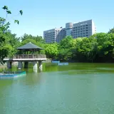 竜ヶ池