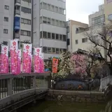うどん双樹