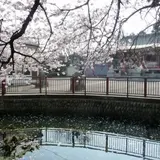 八雲神社