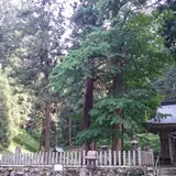 和田山町宮６４５