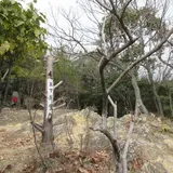 五丁展望所