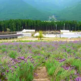 ラベンダーパーク多可