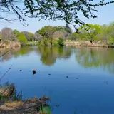見沼自然公園