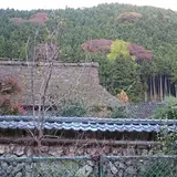 佐中の千年家
