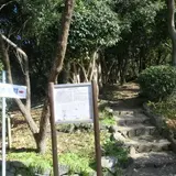 山畑古墳群