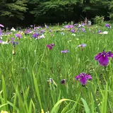 泉谷公園