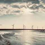 高美湿地