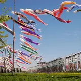 那須ハートフルファーム 菜の花畑 ひまわり畑 愛込