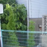 川口３丁目５−３１