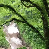 黒部の万年雪