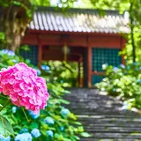 芭蕉句碑高崎清水寺花の雲句碑