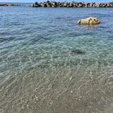 藻浦崎公園