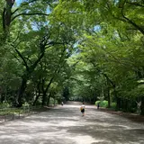 糺ノ森