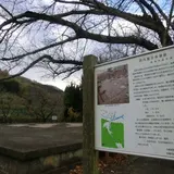 河内国分寺