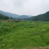 俵原