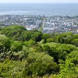 天園ハイキングコース