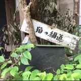 猫の細道
